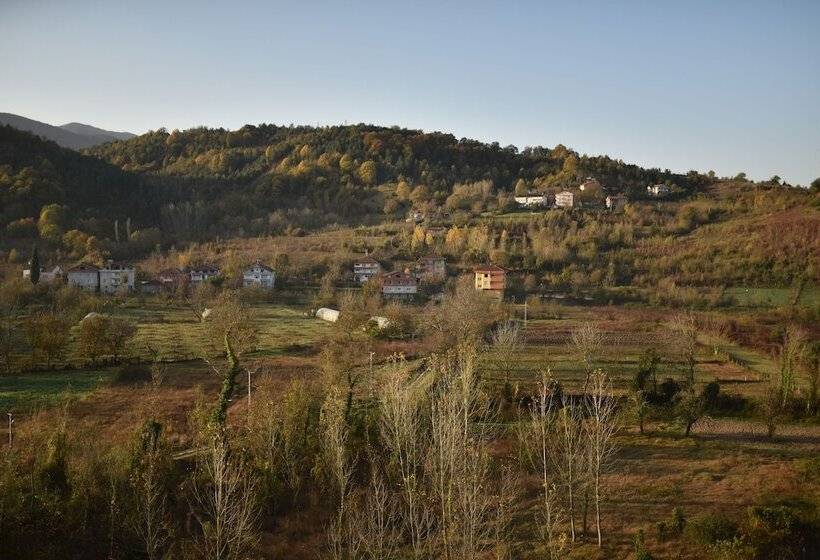 Ereza Otel
