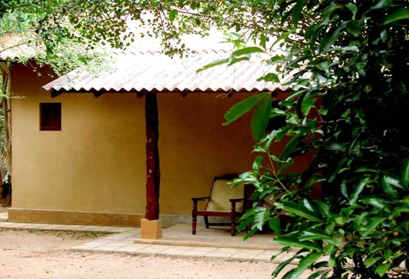 Fresco Lion Villa   Hostel