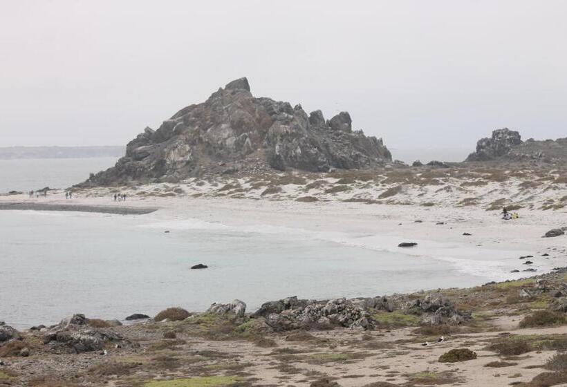 ペンション Cabaña Albergo Punta De Choros