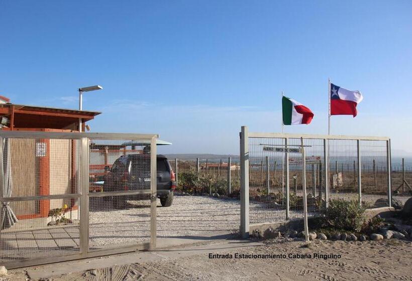 ペンション Cabaña Albergo Punta De Choros