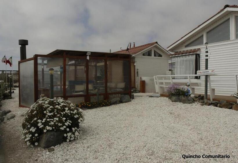 ペンション Cabaña Albergo Punta De Choros