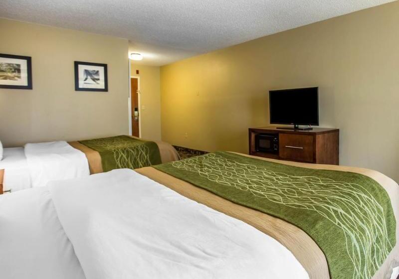 Отель Comfort Inn & Suites Walterboro I95