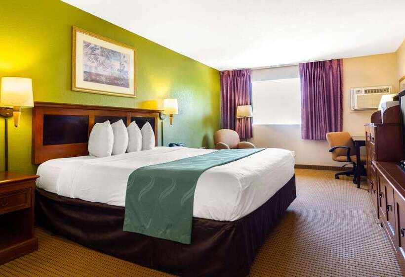 ホテル Rodeway Inn