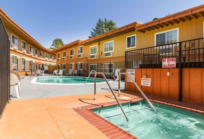 ホテル Rodeway Inn