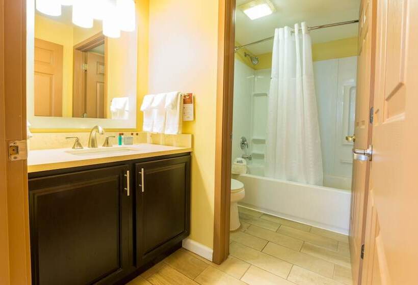 בית מלון כפרי Dulles Suites