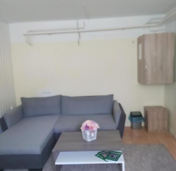 膳宿费 Kolpingház Pécs