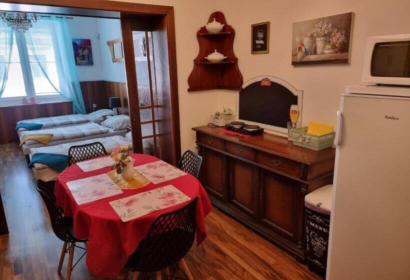 פנסיון Penzion A Víno