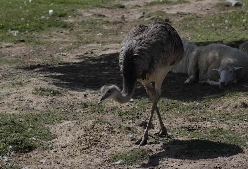 تختخواب و صبحانه Complejo Playa Grande Punta Del Diablo