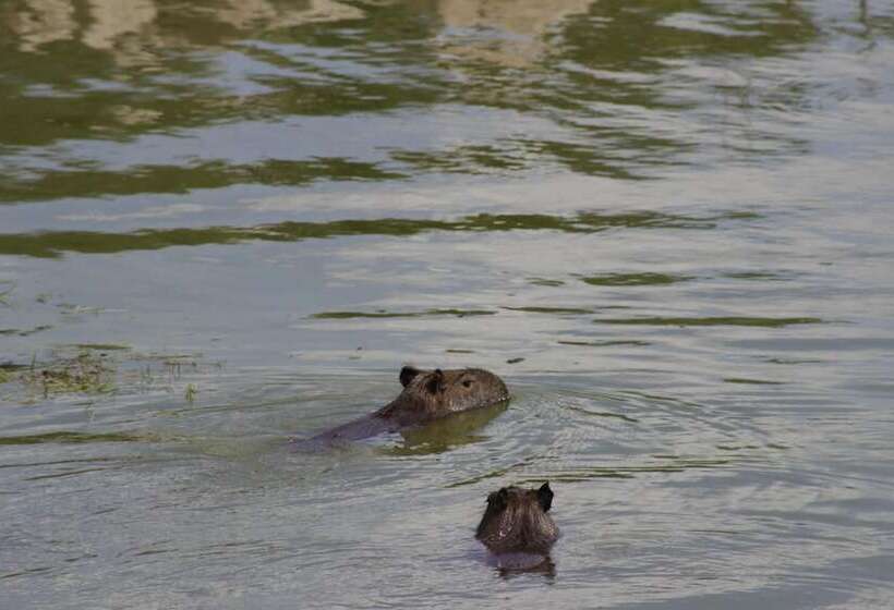 تختخواب و صبحانه Complejo Playa Grande Punta Del Diablo