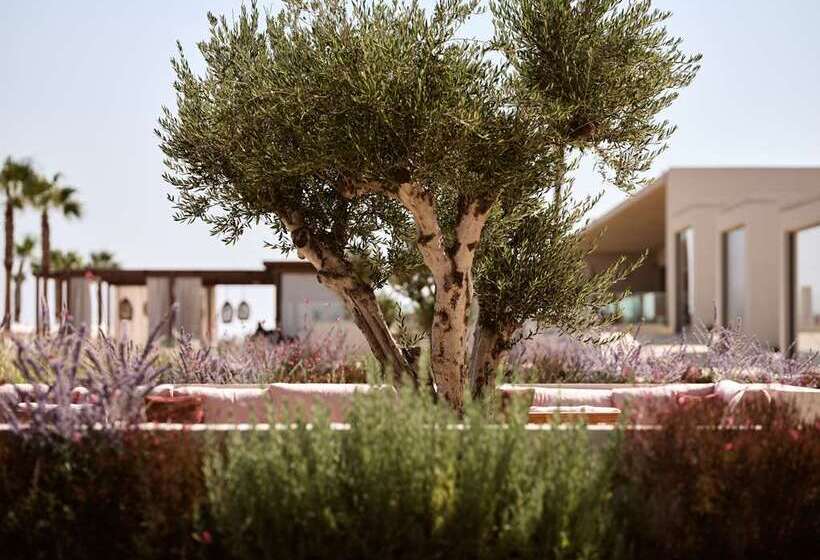 The Royal Senses Resort & Spa Crete, Curio Collection Hilton
