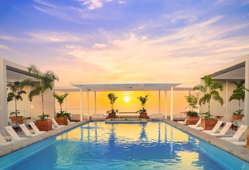 Hotel Mio Vallarta Unique & Different Adults Only