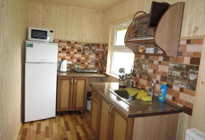 پانسیون Bilyy Kamin Guest House
