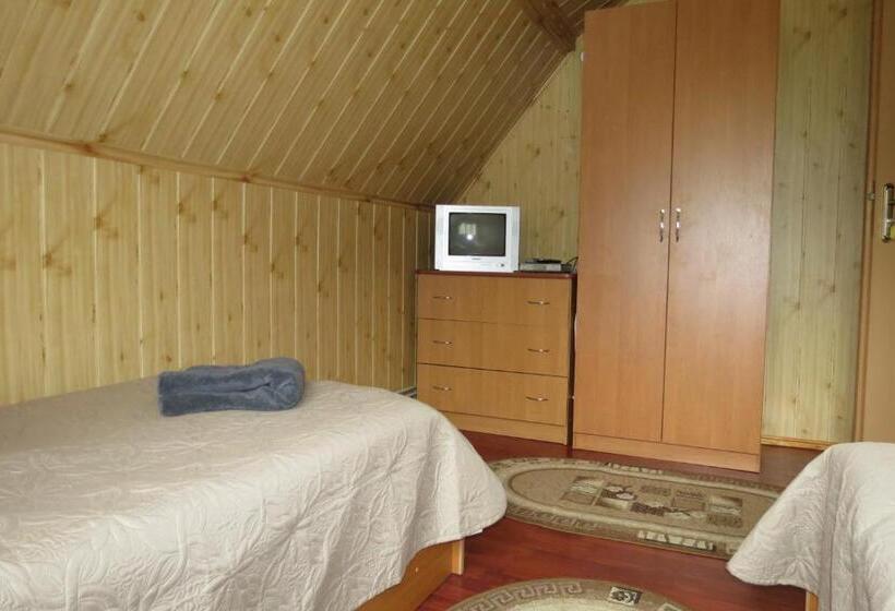 پانسیون Bilyy Kamin Guest House