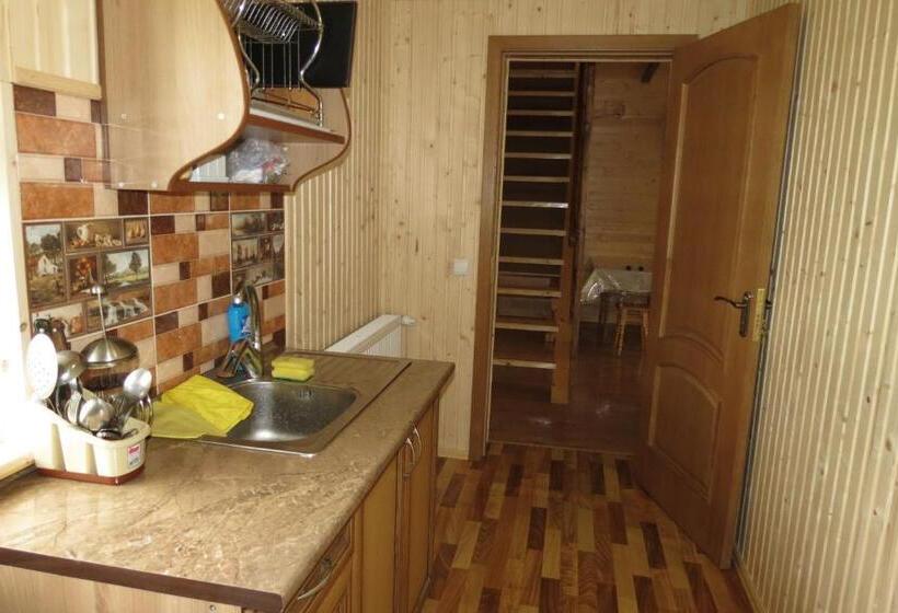 پانسیون Bilyy Kamin Guest House