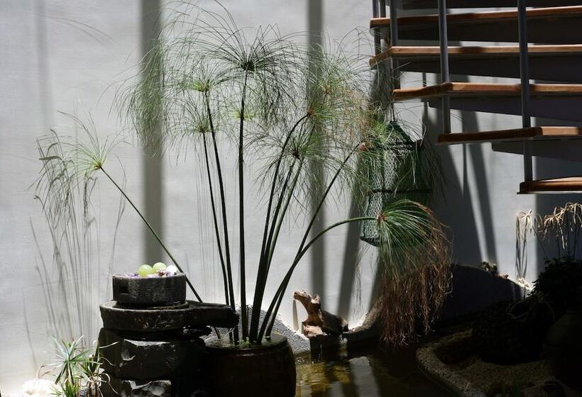 پانسیون Penghu Kite House