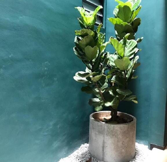 בית מלון כפרי Kooning   Hostel