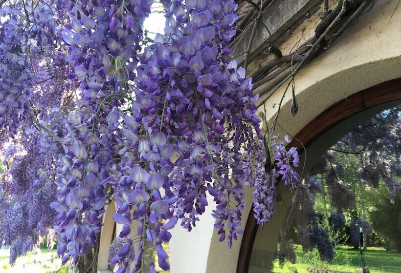 مبيت وإفطار Villa Franciana