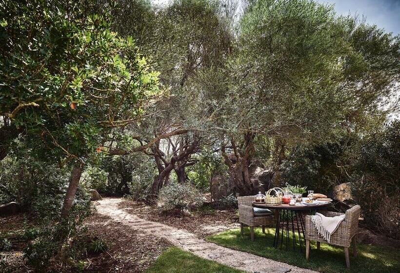 مسافرخانه Cascioni Eco Retreat