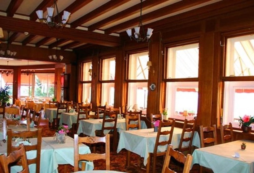 酒店 L'hostellerie Le Turckheim Croix D'or