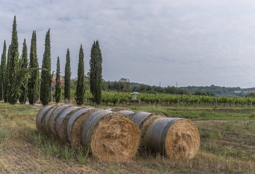 هتل روستایی Agriturismo Le Case Rosse Di Montebuono