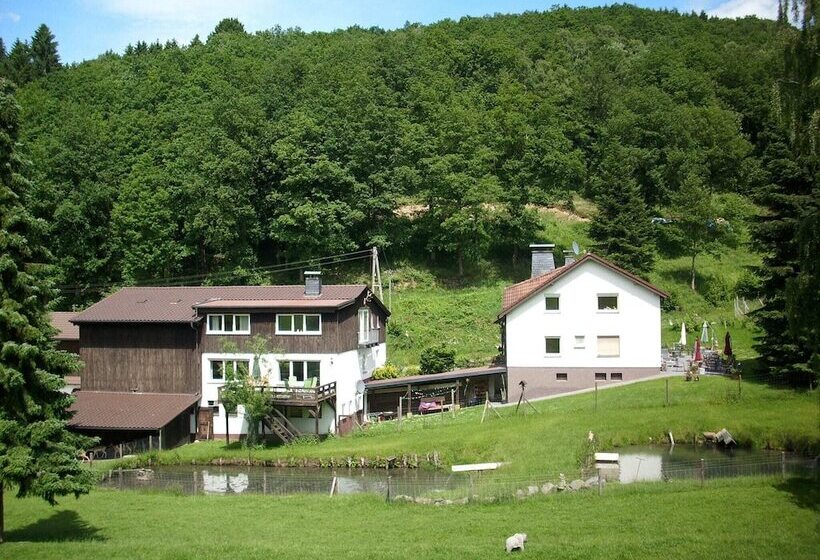 Cozy Apartment In Bruchhausen With Terrace
