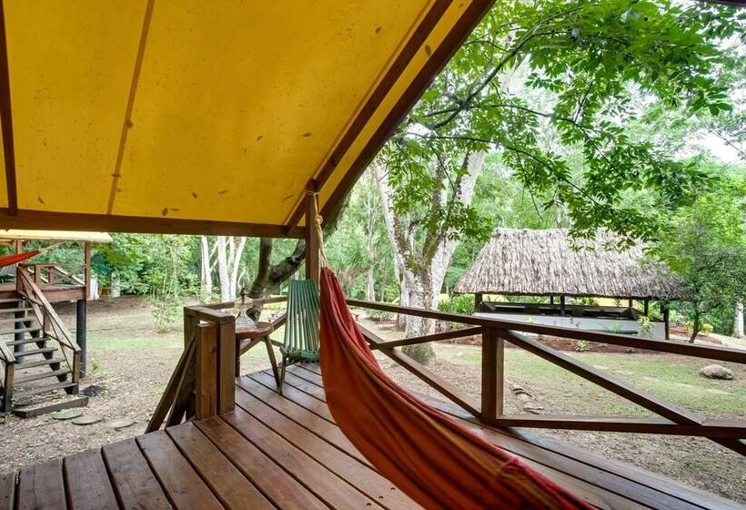 فندق Belize Rainforest Retreat At Chaa Creek