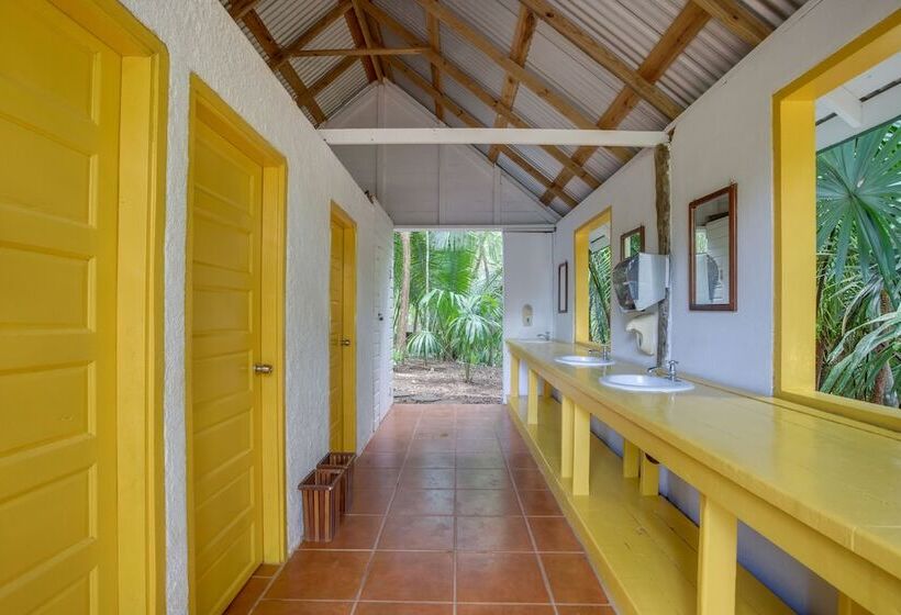 فندق Belize Rainforest Retreat At Chaa Creek