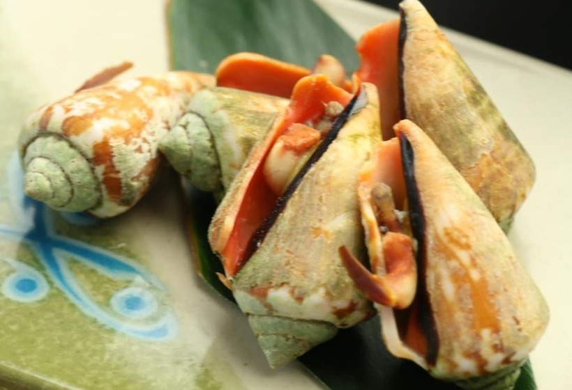 בית מלון כפרי Rest And Lodge Syou