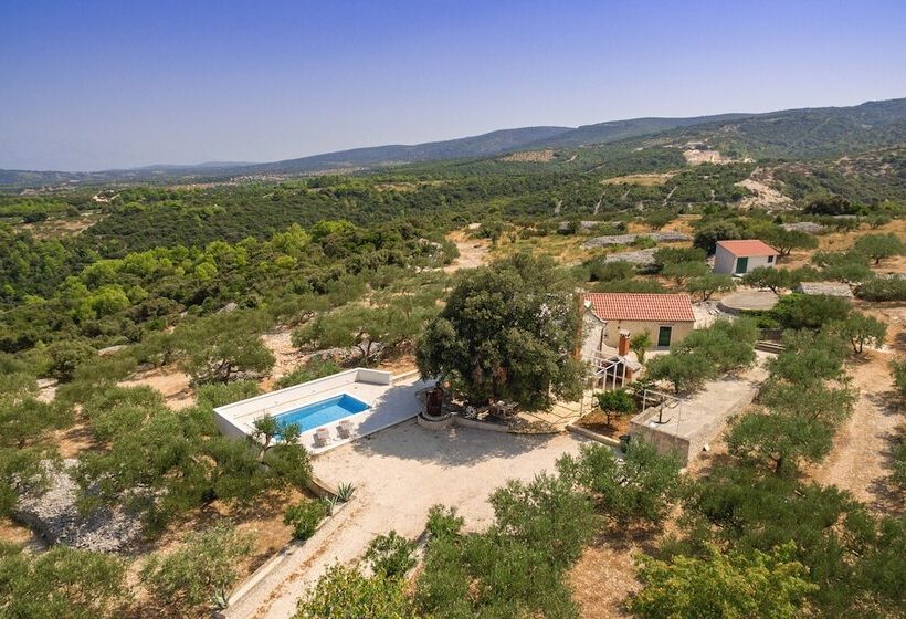 Villa Dubrava With Private Pool In Olive Grove   Direct Landlord