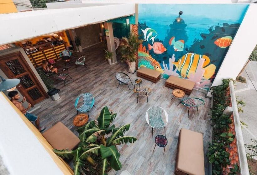 Distrito Hostel