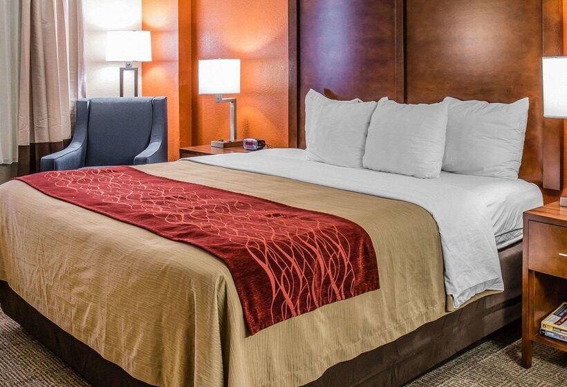 בית מלון כפרי Comfort Inn & Suites Lakeland North I4