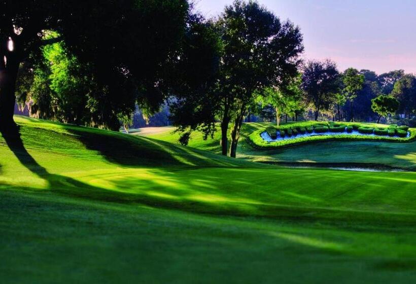 Innisbrook Resort