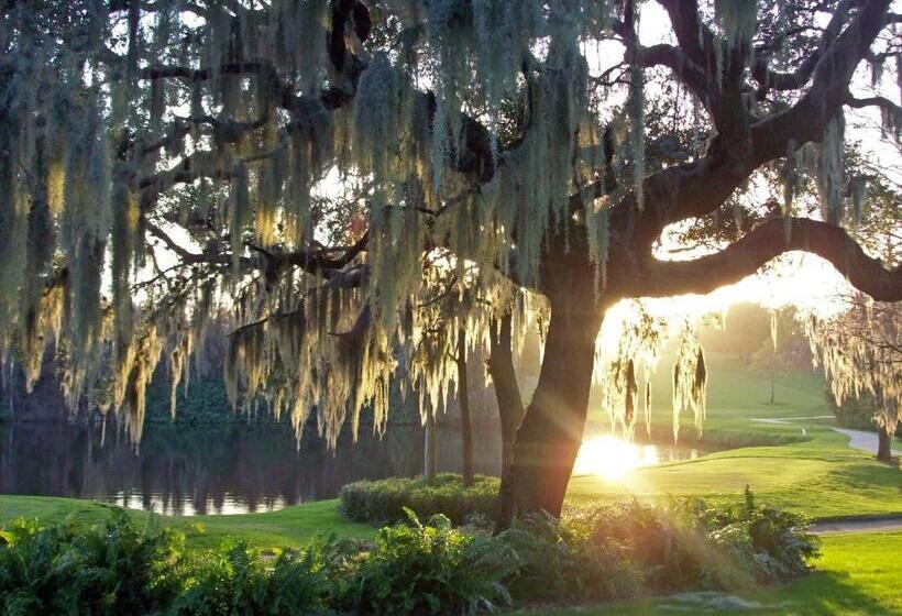 Innisbrook Resort