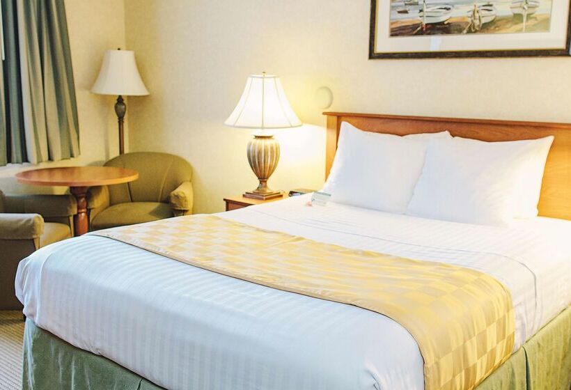 모텔 Lavissh Inn & Suites