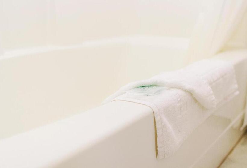 فندق على الطريق Lavissh Inn & Suites