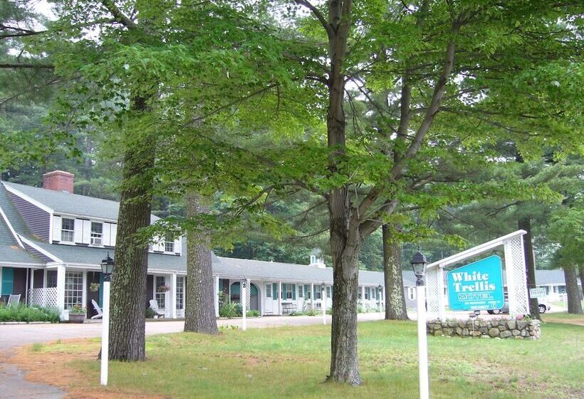 White Trellis Motel