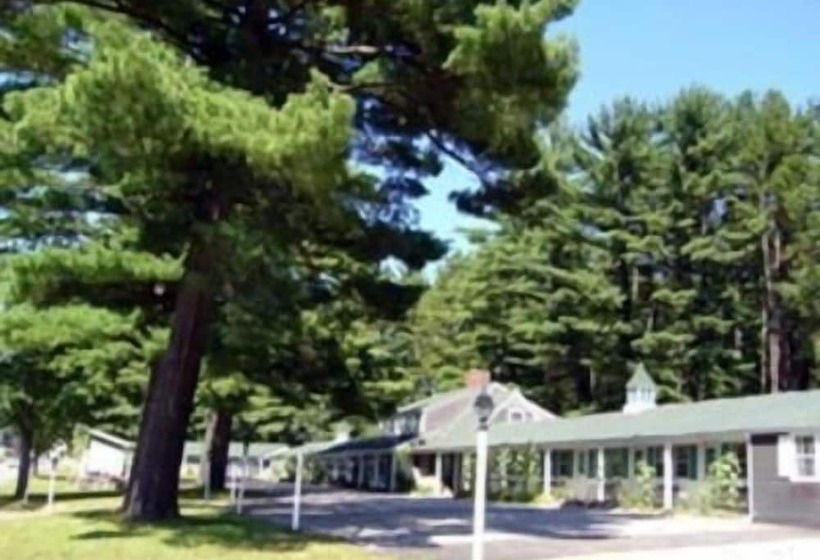 White Trellis Motel