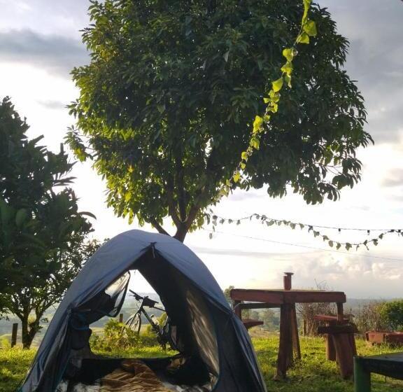 پانسیون H Shaddai