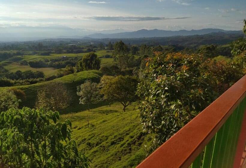 پانسیون H Shaddai