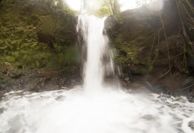 تختخواب و صبحانه Oski Lodge, Rain Forest Rincón De La Vieja