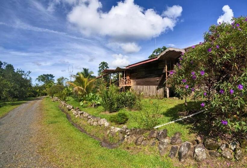 تختخواب و صبحانه Oski Lodge, Rain Forest Rincón De La Vieja