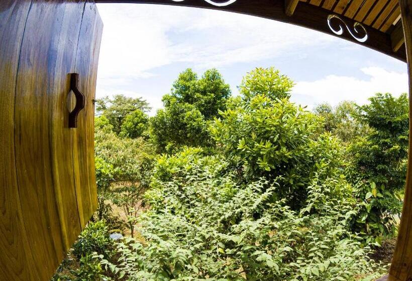 تختخواب و صبحانه Oski Lodge, Rain Forest Rincón De La Vieja