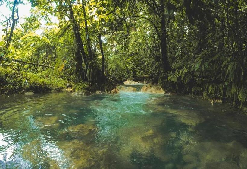 تختخواب و صبحانه Oski Lodge, Rain Forest Rincón De La Vieja
