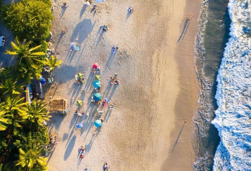 استراحتگاه Azulpitaya Beach Front Hotel In Sayulita