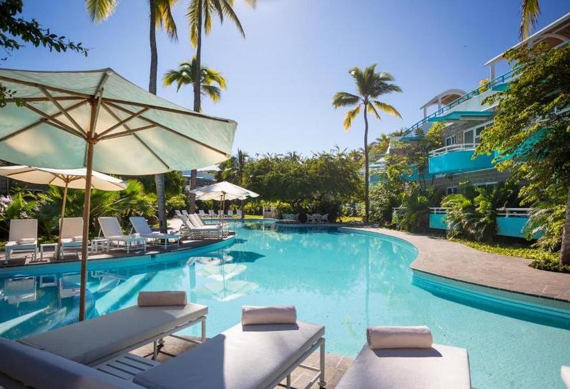 استراحتگاه Azulpitaya Beach Front Hotel In Sayulita