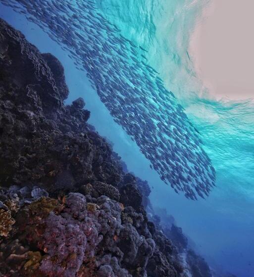 Kurort Sugarsea Inn & Dive Shop