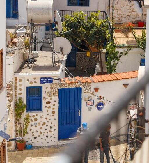 هاستل Homelike Guest House