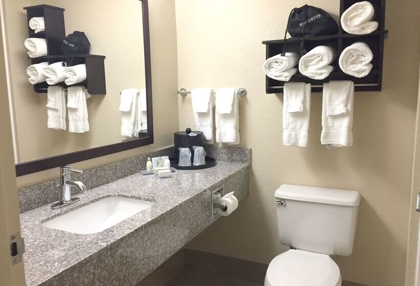 هتل Best Western Plus Birmingham Inn & Suites
