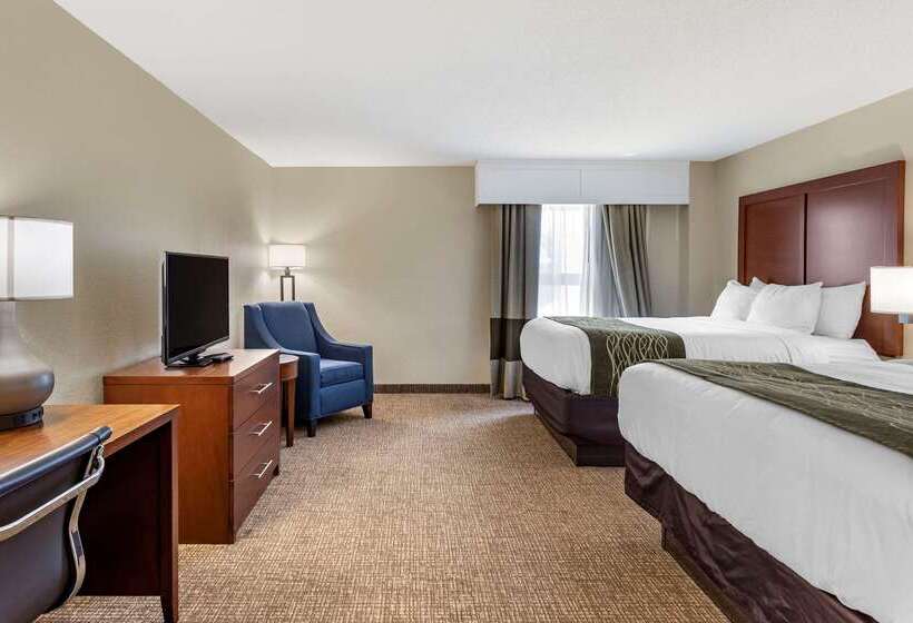 ホテル Comfort Inn & Suites Airport