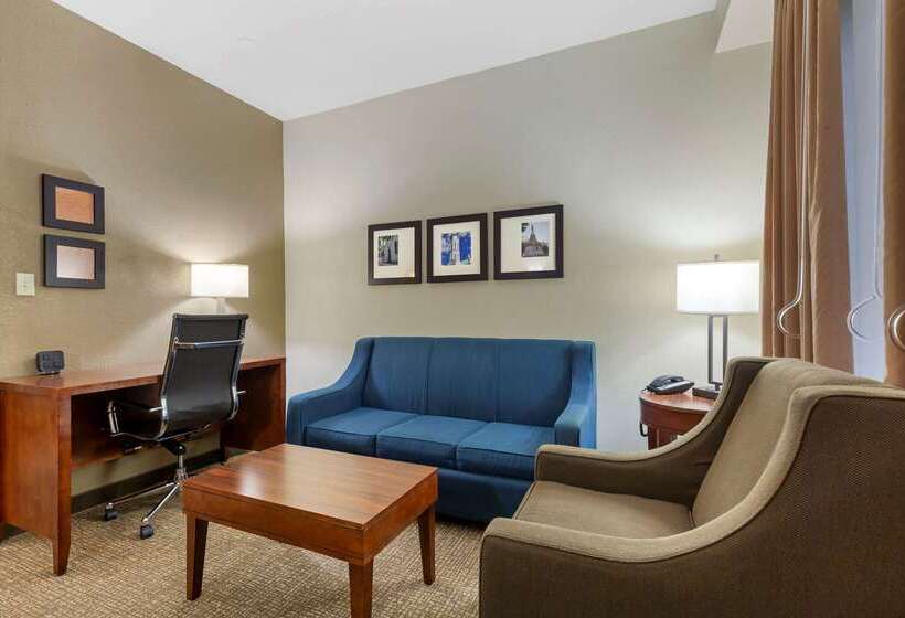 בית מלון כפרי Comfort Suites Fredericksburg South